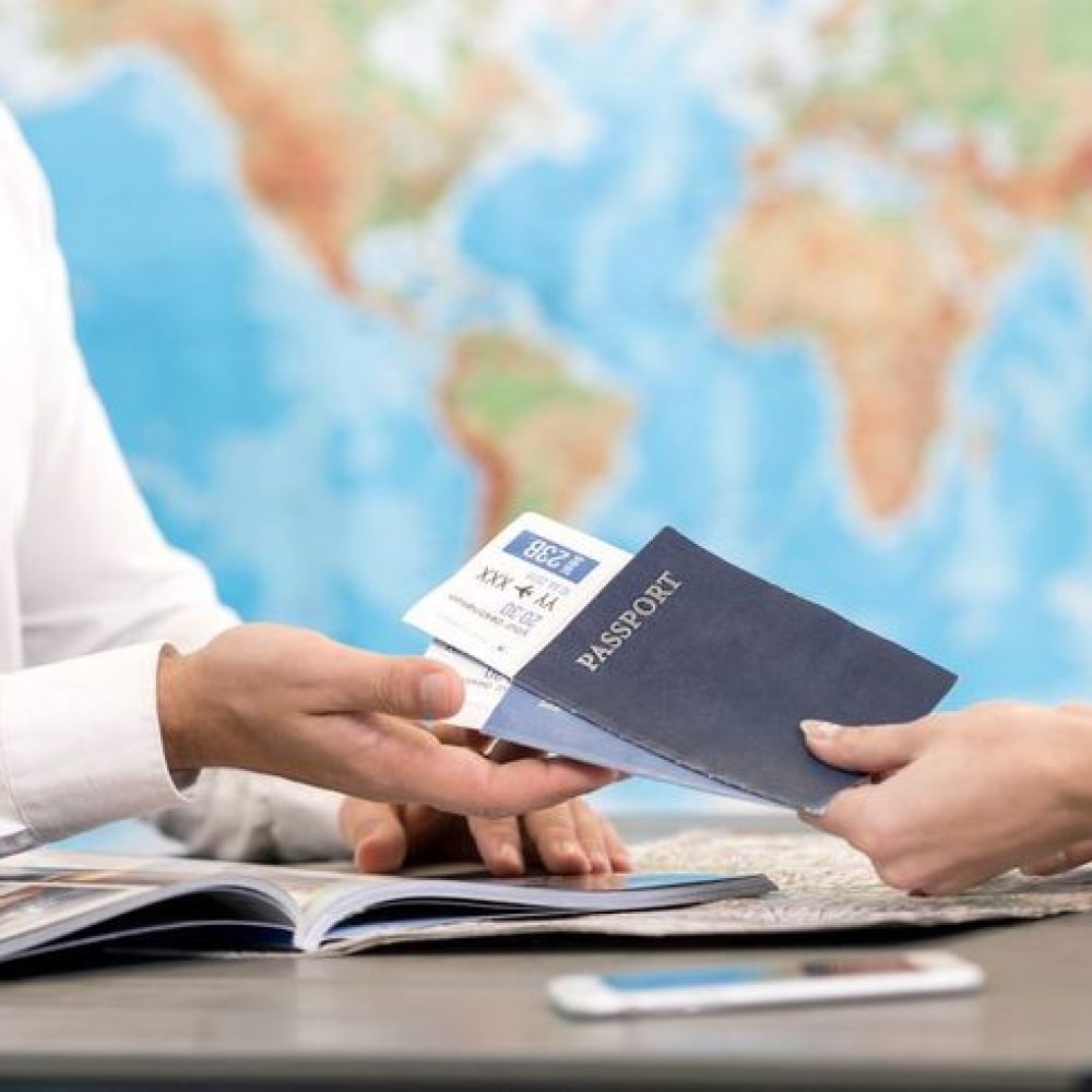 Immigration Consultant